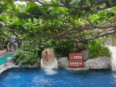 -三亚亚龙湾天域度假酒店