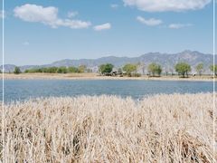 -野鸭湖国家湿地公园