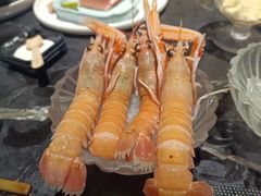 -半岛翡丽海鲜自助餐厅(观风亭店)