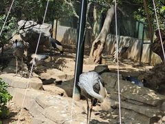 -大连森林动物园