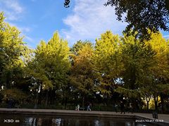 -玲珑塔公园