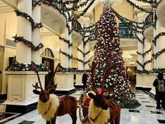 -Salon de Ville浦江汇(上海外滩华尔道夫酒店店)