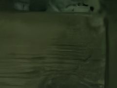 -青藏高原野生动物园