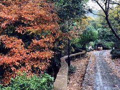-雨花胜境