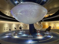 -盐城丹顶鹤湿地生态旅游区