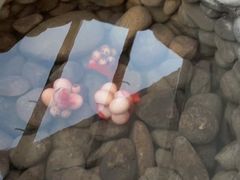 -水底山庄园温泉