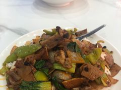 -西安外国语大学-学生食堂(栾树大道店)
