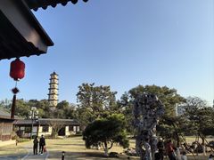-江心屿景区