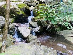 -藏龙百瀑风景区