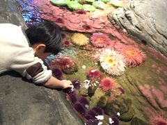 -西雅图水族馆