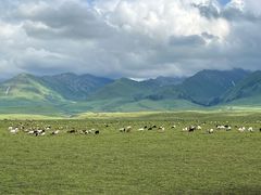 -新疆那拉提国家旅游度假区
