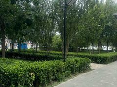 -首都医科大学附属北京天坛医院
