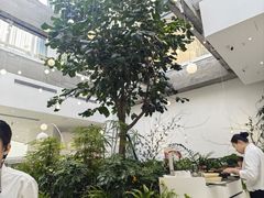 -大树餐厅(红旗街万达店)