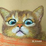 治愈心灵的猫咪画作