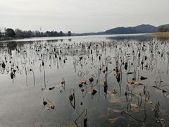 -东湖落雁景区