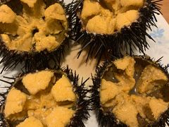 -海胆小馆(东北水饺·春柳店)