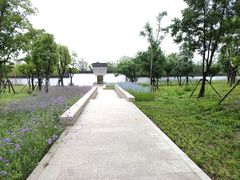 -上海滨江森林公园