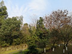-良渚君澜度假酒店·中餐厅