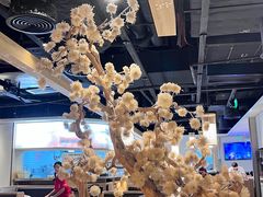 -九毛九西北菜(百信广场店)