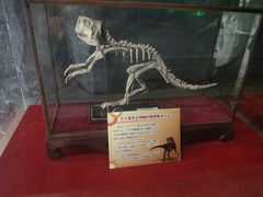 -吉林省自然博物馆