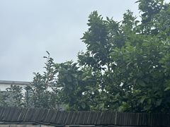 -东梓关景区村庄