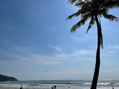 -盘古掌冲浪俱乐部(日月湾店)