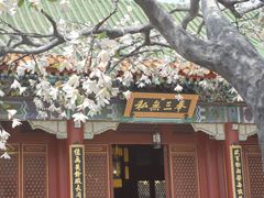 -珠海圆明新园