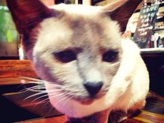 -MIKAKU(万达广场上海宝山店)