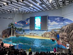 -福州罗源湾海洋世界旅游区