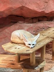 点击看大图 -Zoolung Zoolung动物主题公园(海信广场店)