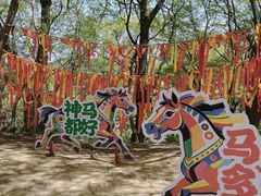 -少华山国家森林公园