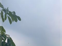 -望湖烤鱼