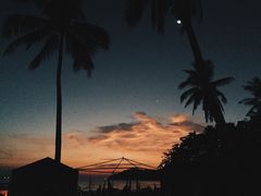 -真浪花园海鲜餐馆