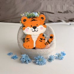 -安琪朵朵独栋花园月子中心