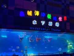 -泉城欧乐堡海洋极地世界