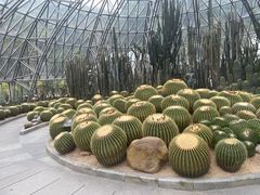 -深圳仙湖植物园