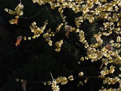-钱王祠