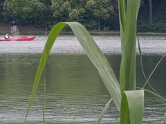 -美兰湖景区