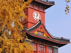 -四川大学(华西校区)