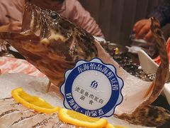 -东海怡品海鲜豆捞(舟宿夜江店)