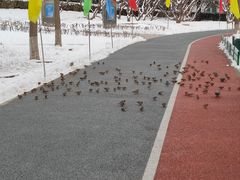 -长辛店二七公园