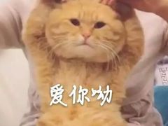 -窑鸡王(樟木头店)