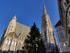 -斯蒂芬主教座堂(Stephansdom)
