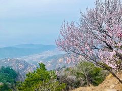 -天津盘山风景名胜区