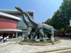 -河南自然博物馆