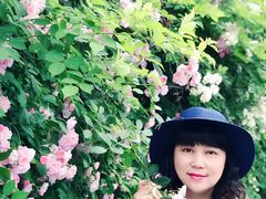 -白鹭湾湿地公园