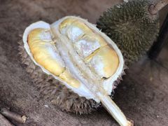 榴莲-阿龙榴莲摊