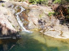 -广州白江湖森林公园