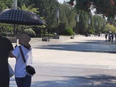 -大雁塔北广场音乐喷泉