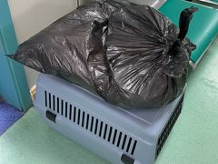 -北京观赏动物医院·24小时大型综合·猫专科·异宠专科